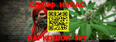 мдпв Краснодар