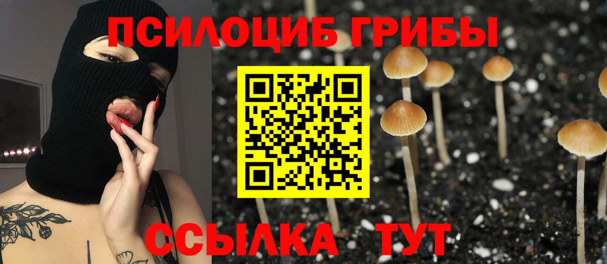 Псилоцибиновые грибы GOLDEN TEACHER  Вход с VPN  Каменск-Шахтинский 